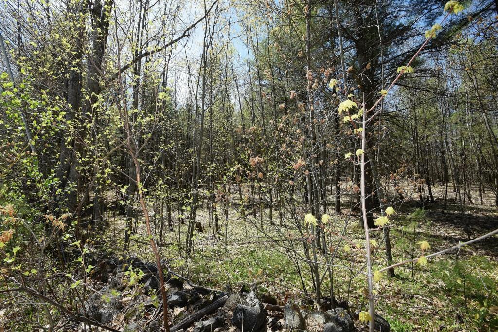 Lot 1 Tenny Hill Road Raymond, ME 04071 - Photo 10 of 11 Photo