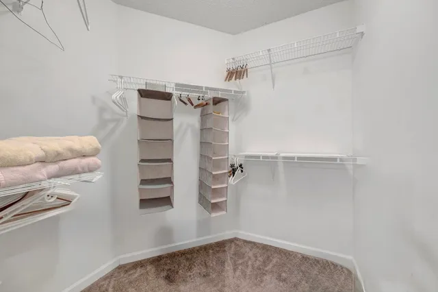 a view of a backyard with a garden