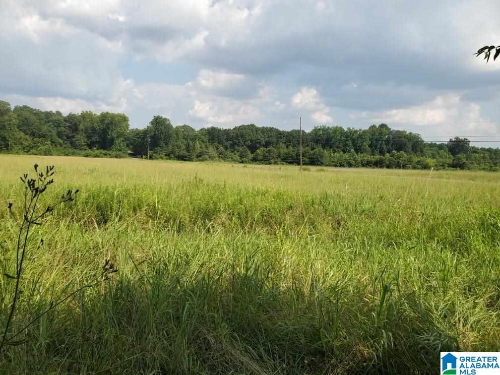 440 Fox Valley Farms Road, Unit 4 Alabaster, AL 35114 - Photo 3 of 12