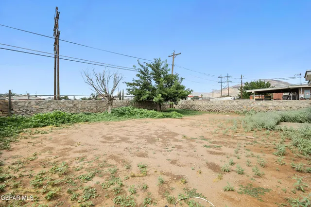 a view of a dry yard