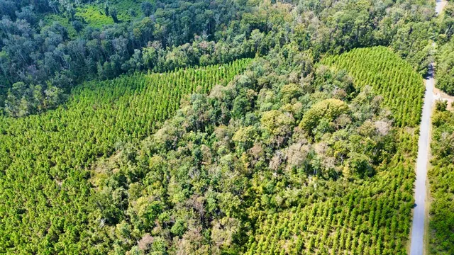 $169,000 | Lot 1 Southwest Wonderwood Street, Greenville, FL 32331