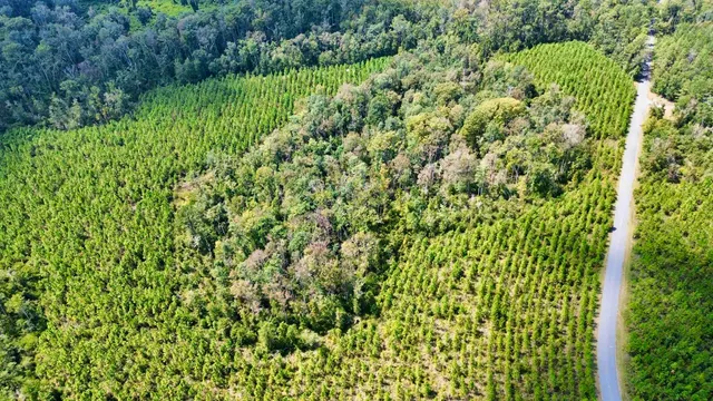 $169,000 | Lot 1 Southwest Wonderwood Street, Greenville, FL 32331