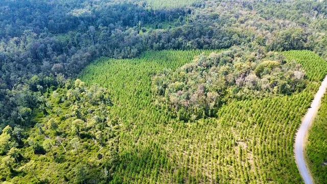 $169,000 | Lot 1 Southwest Wonderwood Street, Greenville, FL 32331