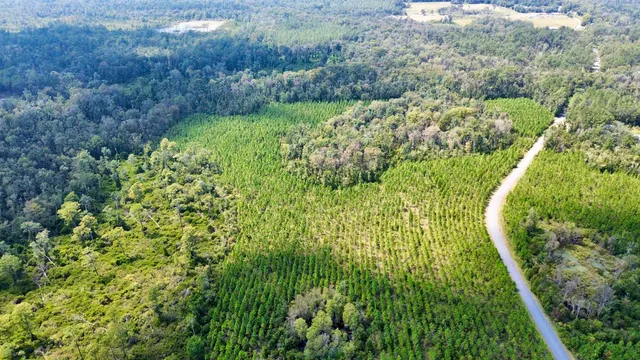 $169,000 | Lot 1 Southwest Wonderwood Street, Greenville, FL 32331