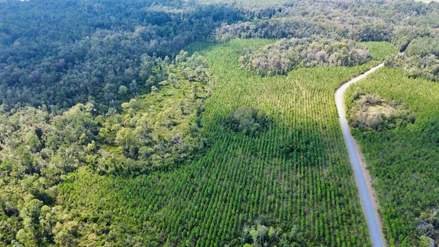 $169,000 | Lot 1 Southwest Wonderwood Street, Greenville, FL 32331