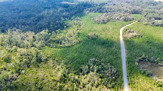 $169,000 | Lot 1 Southwest Wonderwood Street, Greenville, FL 32331