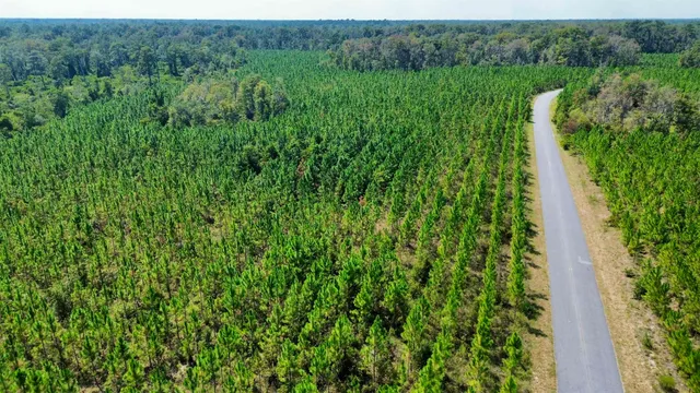 $169,000 | Lot 1 Southwest Wonderwood Street, Greenville, FL 32331