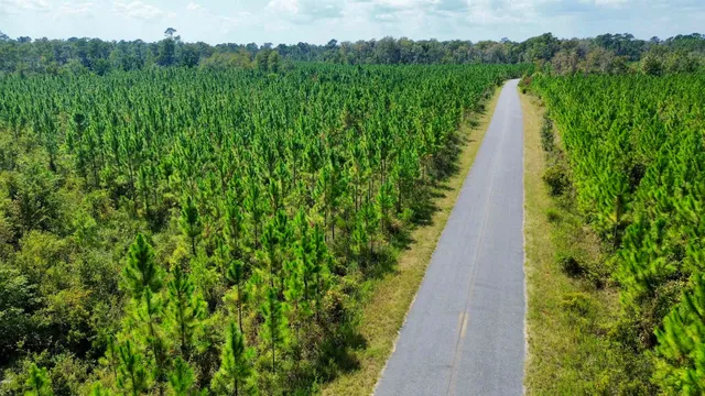 $169,000 | Lot 1 Southwest Wonderwood Street, Greenville, FL 32331