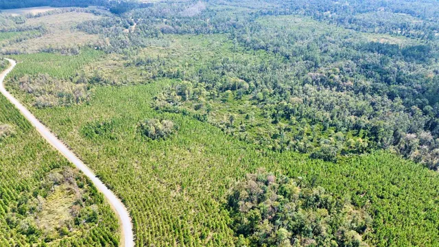 $169,000 | Lot 1 Southwest Wonderwood Street, Greenville, FL 32331