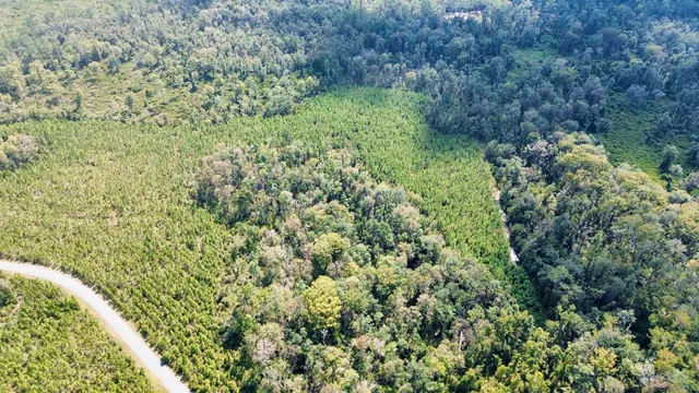 $169,000 | Lot 1 Southwest Wonderwood Street, Greenville, FL 32331