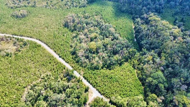 $169,000 | Lot 1 Southwest Wonderwood Street, Greenville, FL 32331