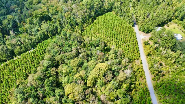 $169,000 | Lot 1 Southwest Wonderwood Street, Greenville, FL 32331