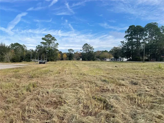 a view of a grassy area with an trees