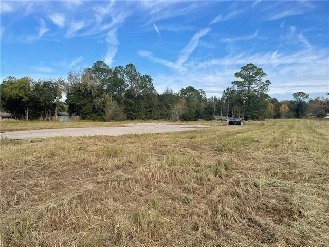 a view of a field with an trees