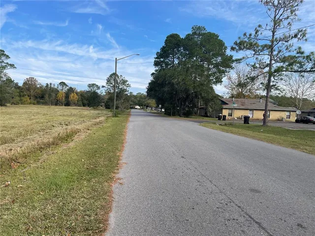 a view of a field with large trees