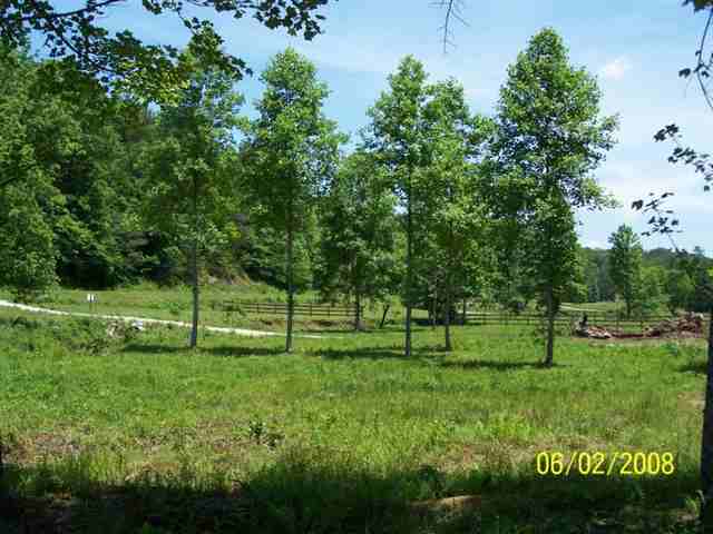 76 Southwest Brasstown Road Long Creek, SC 29658 - Photo 1 of 6 Gallery Image 1