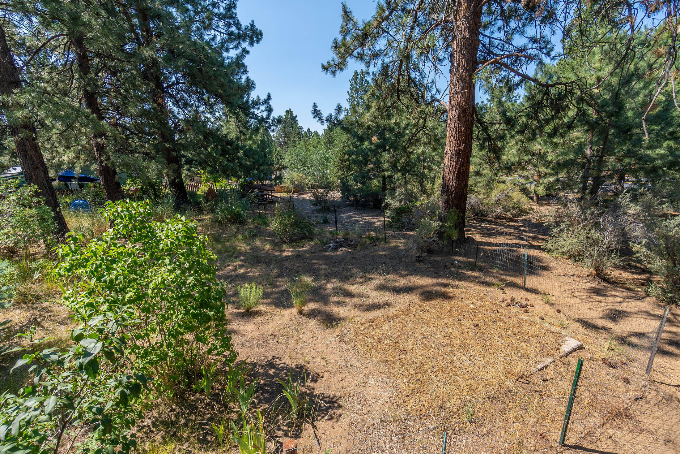 59860 Cheyenne Road Bend, OR 97702 - Photo 30 of 39 56