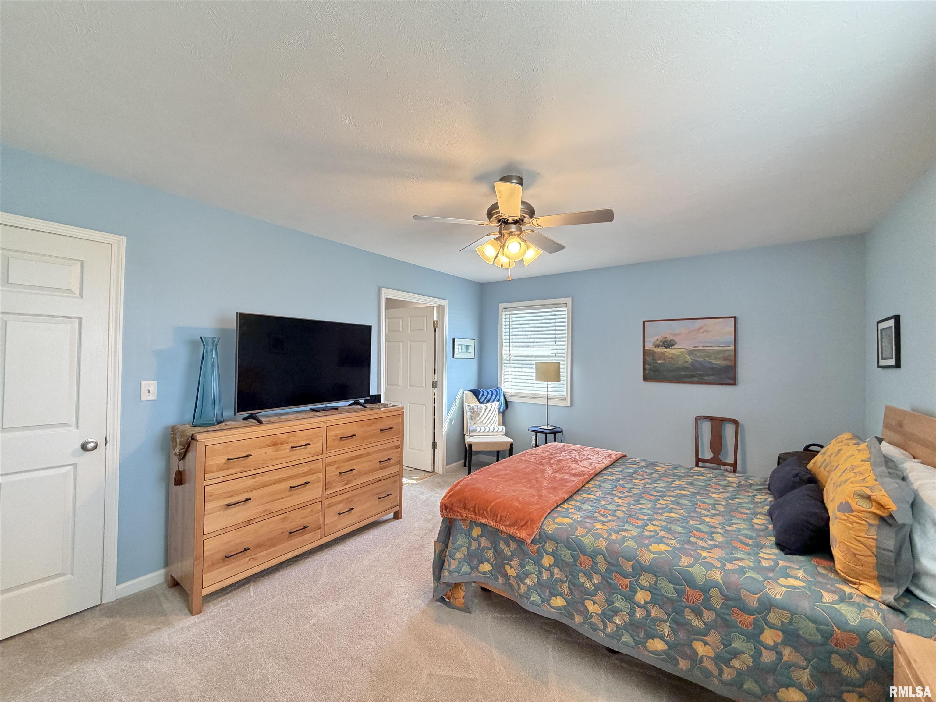 824 East 1800 N Road Taylorville, IL 62568 - Photo 22 of 55