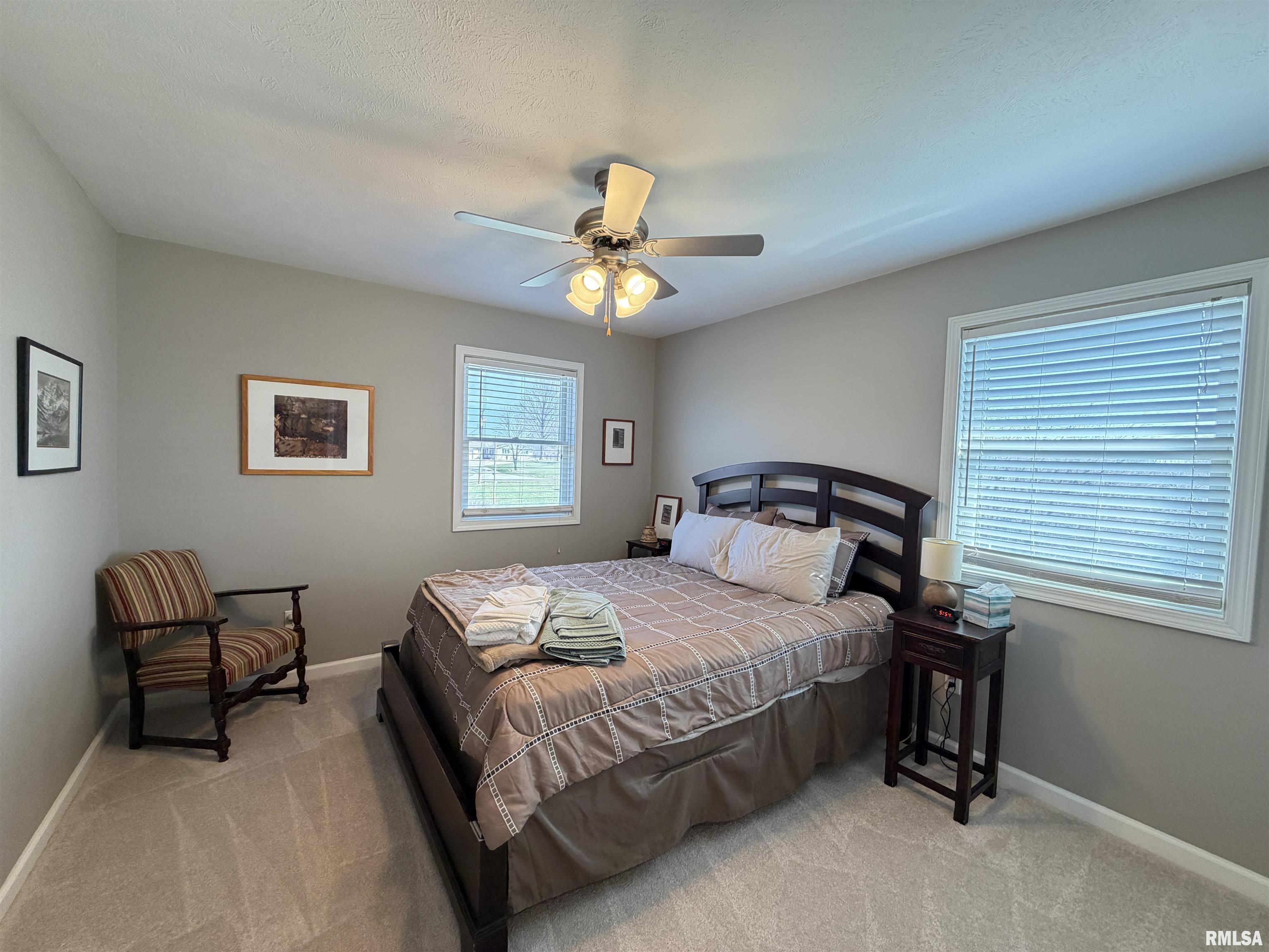 824 East 1800 N Road Taylorville, IL 62568 - Photo 29 of 55