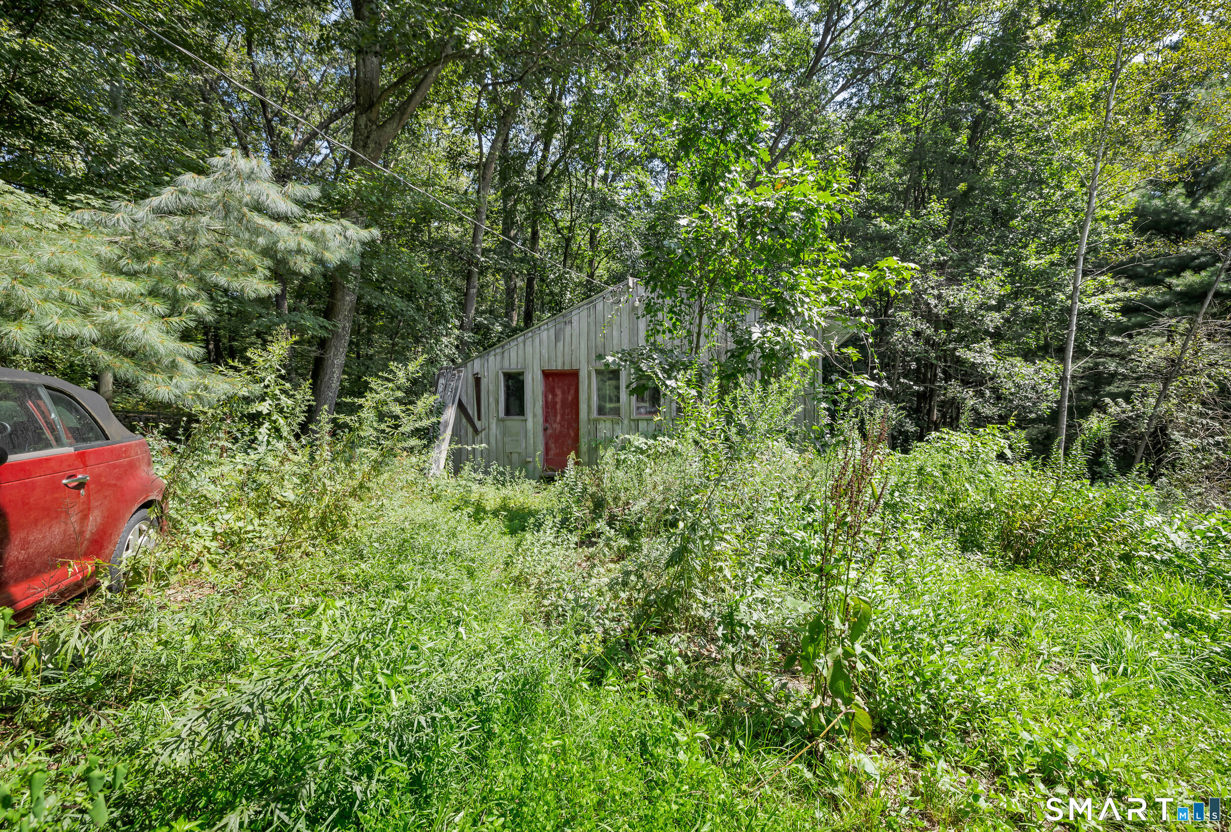 90 A Rowley Road Woodbury, CT 06798 - Photo 36 of 40 a view of a backyard with plants and large trees