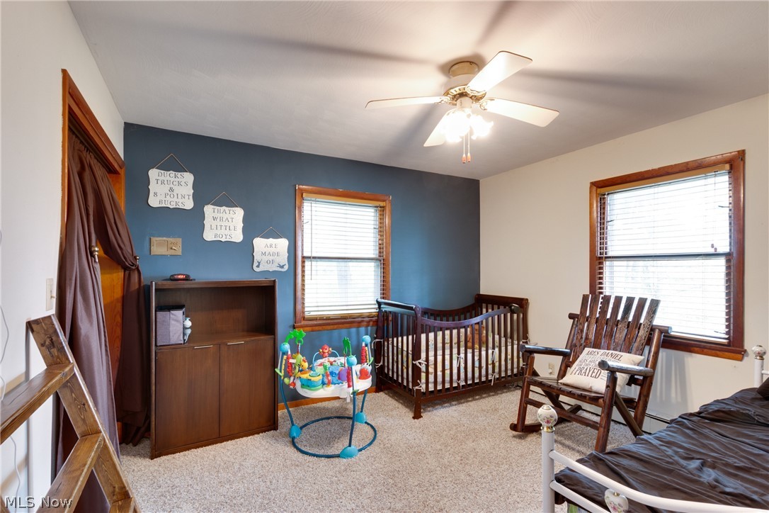 4724 Davis Road Perry, OH 44081 - Photo 11 of 19