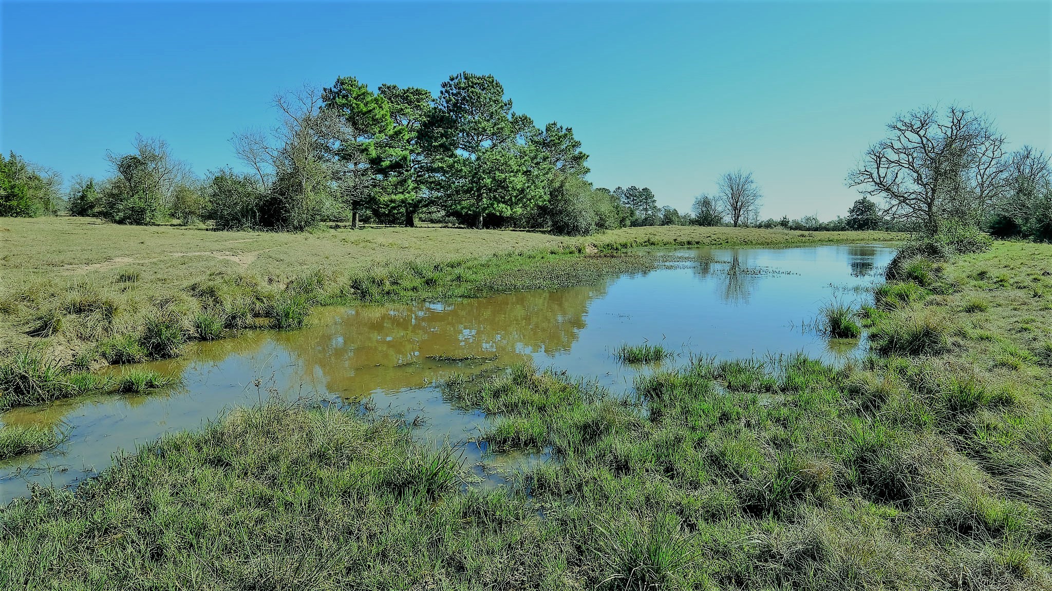26266 Fields Store Road Waller, TX 77484 - Photo 31 of 49 2 Ponds.