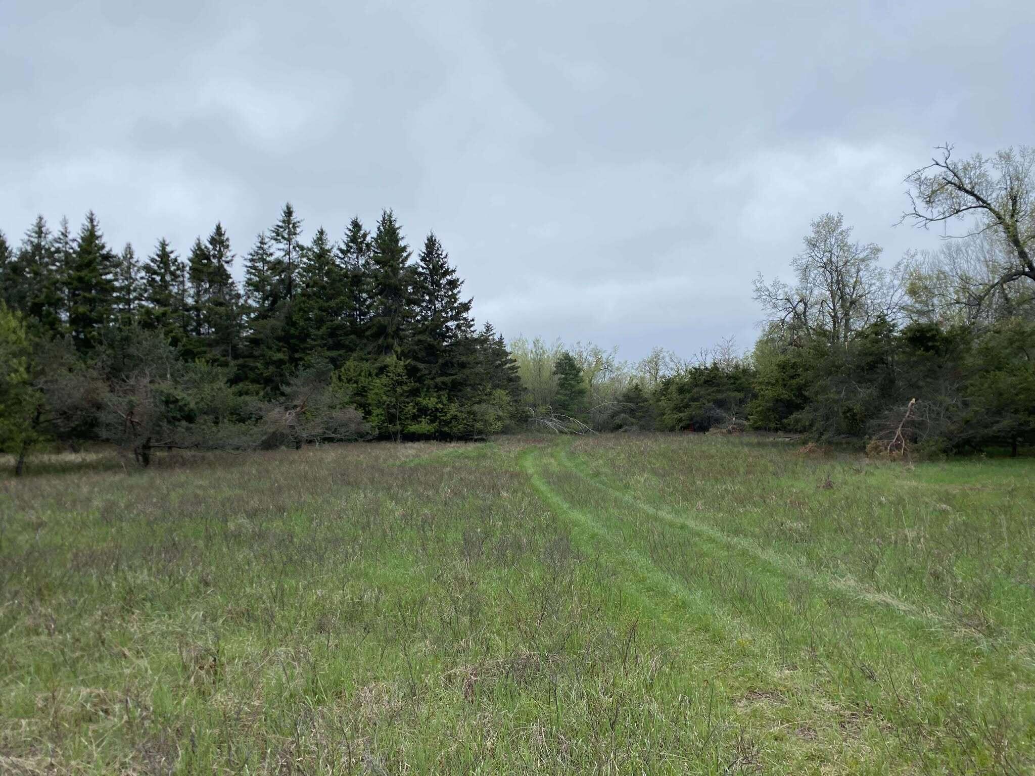 5626 Smith Road Lewiston, MI 49756 - Photo 46 of 50 37