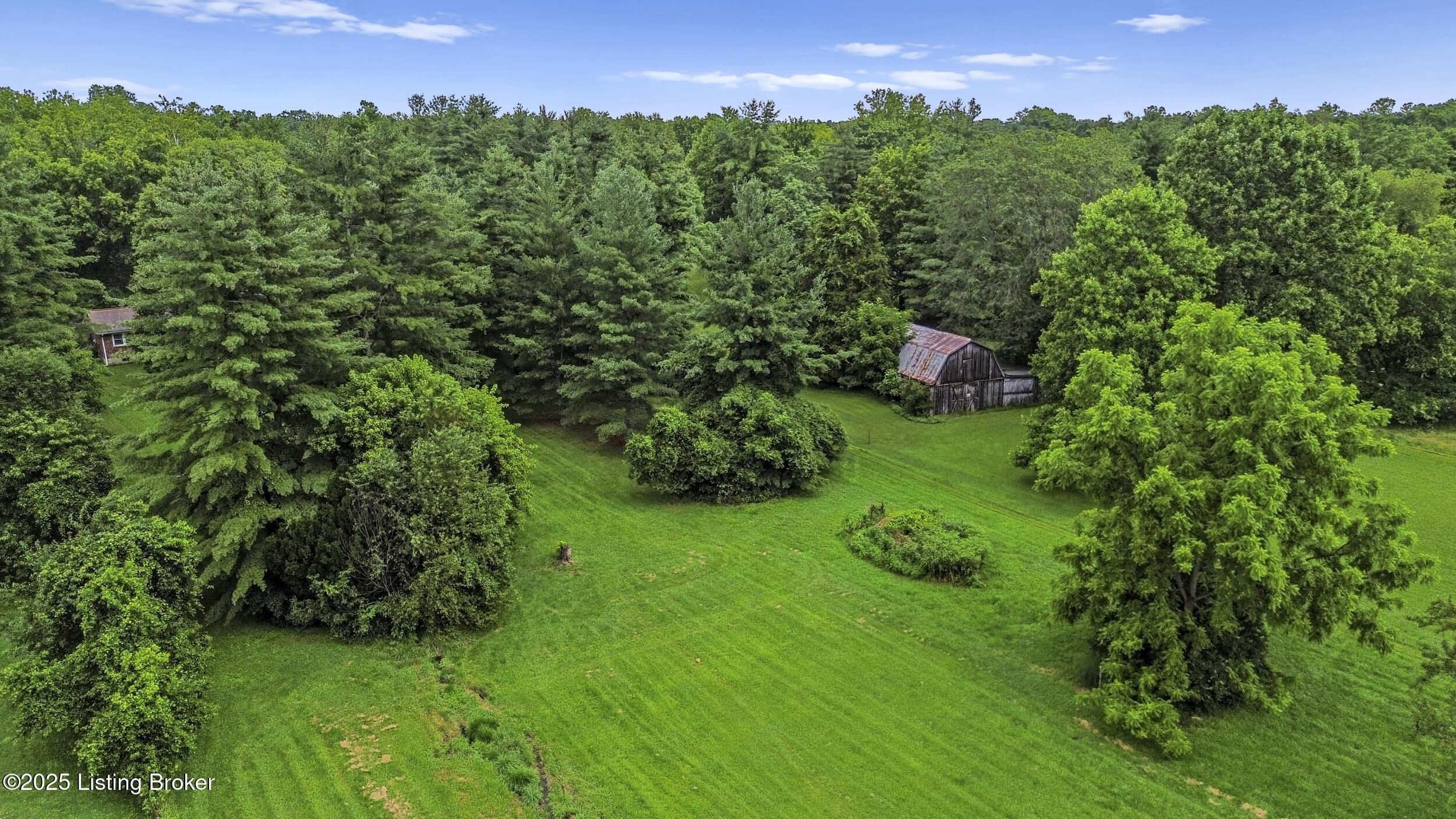 4603 Evergreen Road Crestwood, KY 40014 - Photo 9 of 24 dji_0588