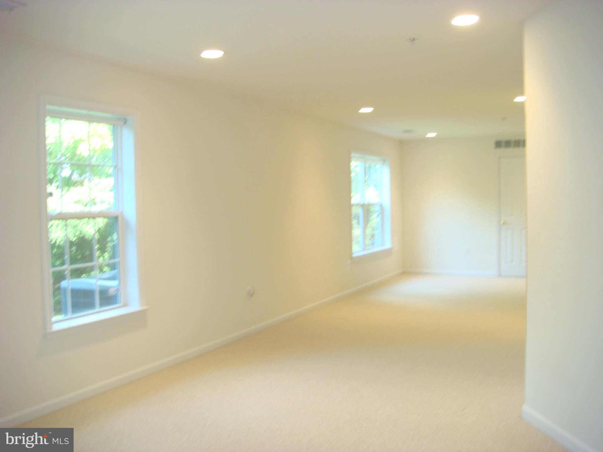 126 George Street Gaithersburg, MD 20877 - Photo 12 of 26 Huge Rec Room