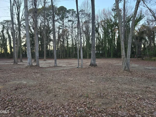 a view of outdoor space with lots of trees