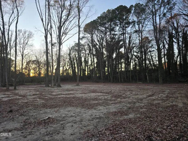 a view of dirt yard with a trees