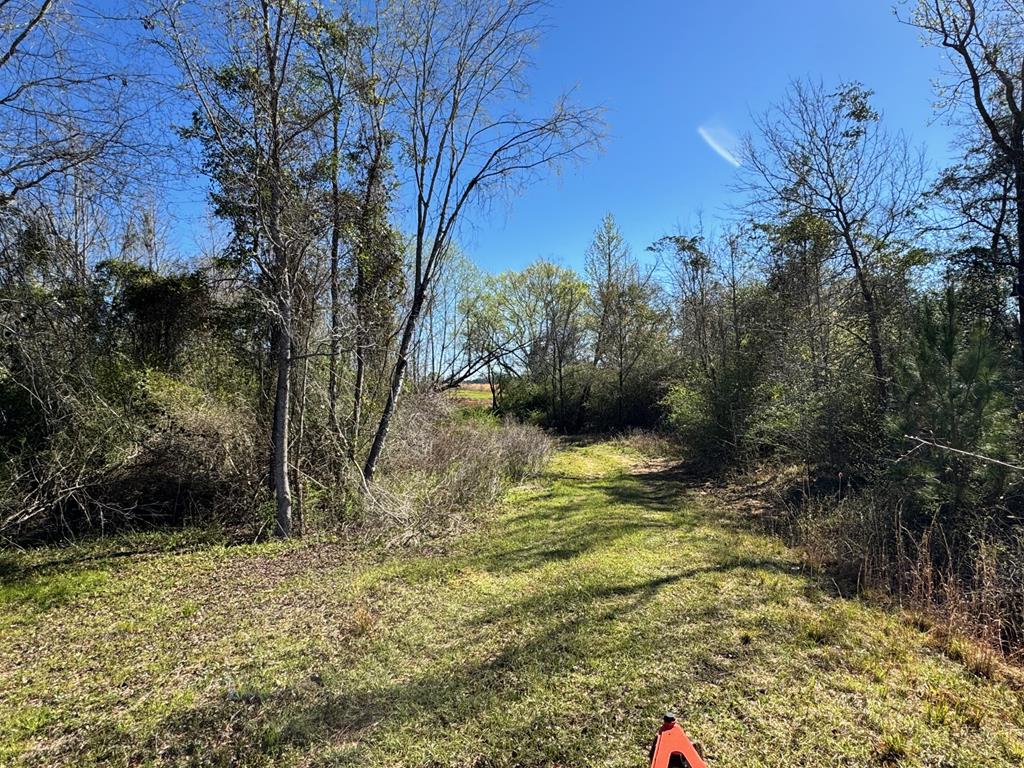 0 Macedonia Ch Road Columbia, AL 36319 - Photo 30 of 61