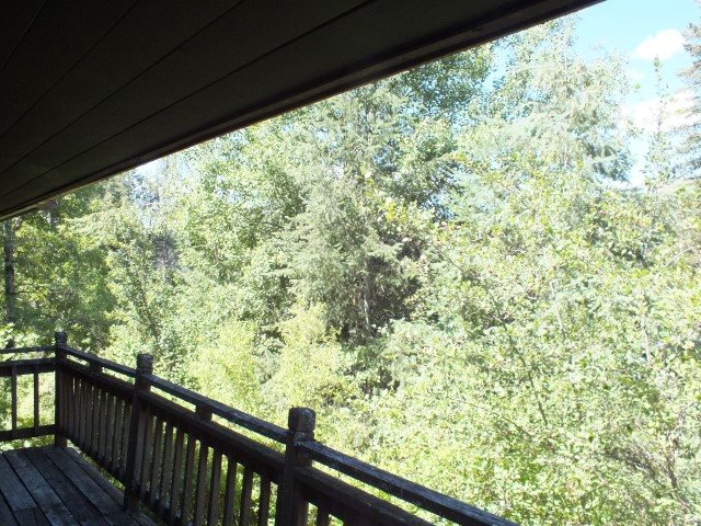27100 North Riverway Road Chattaroy, WA 99003 - Photo 18 of 20 Gallery Image 18