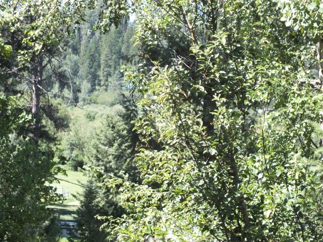27100 North Riverway Road Chattaroy, WA 99003 - Photo 19 of 20 Gallery Image 19