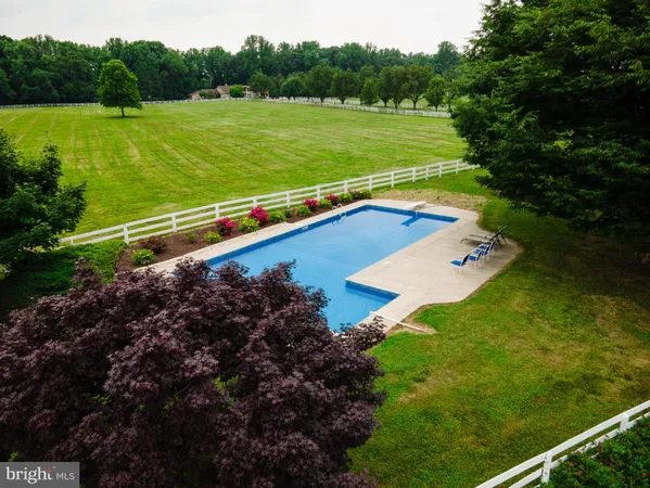 a view of a field with a yard