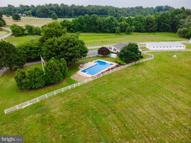 a view of a green field with plants and trees in the background