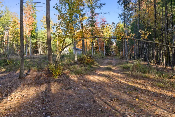 $164,900 | 6483 South Emma Avenue, Baldwin, MI 49304
