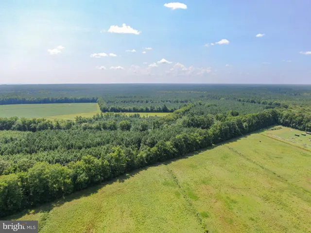a view of a big yard with lots of green space
