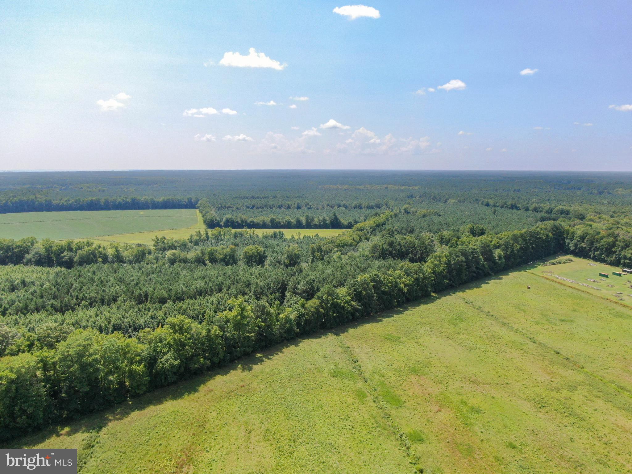 0 Cedartown Road Snow Hill, MD 21863 - Photo 12 of 14 a view of a big yard with lots of green space