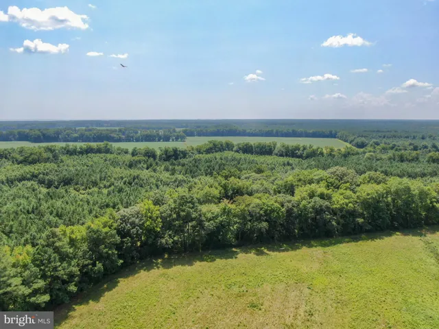 a view of an ocean and a yard