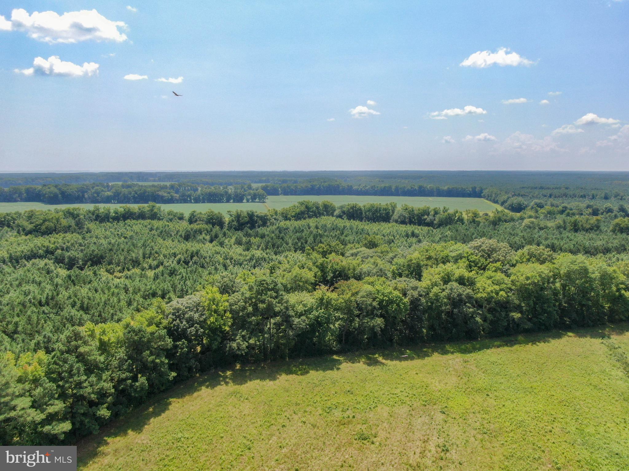 0 Cedartown Road Snow Hill, MD 21863 - Photo 13 of 14 a view of an ocean and a yard