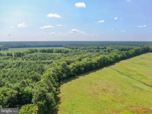 a view of a big yard with lots of green space