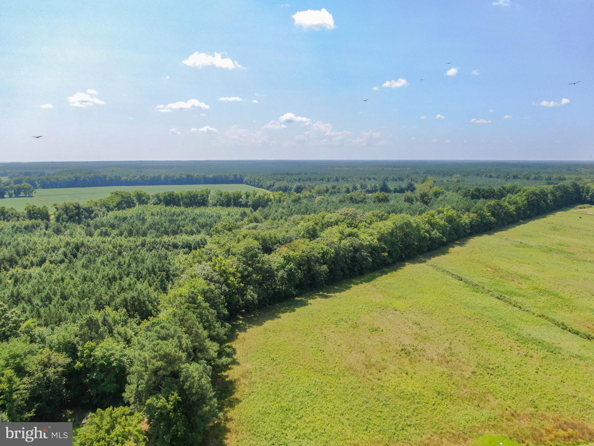0 Cedartown Road Snow Hill, MD 21863 - Photo 14 of 14 a view of a big yard with lots of green space
