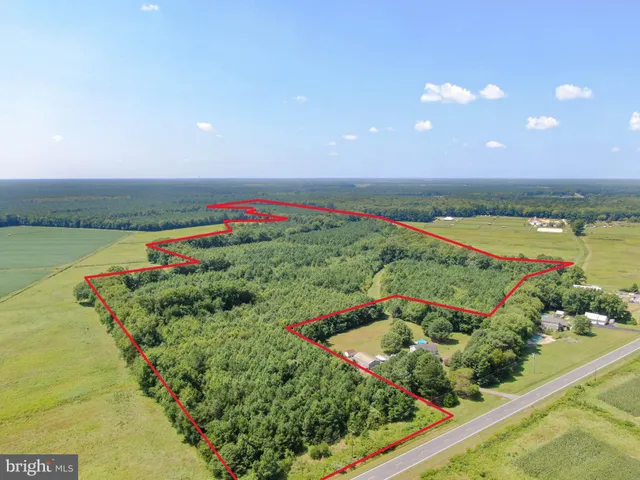 a view of a lake with a swimming pool and outdoor space
