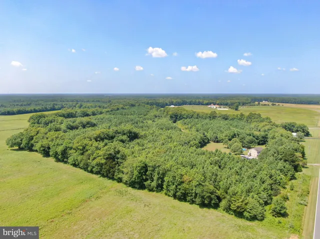 a view of a big yard with green space