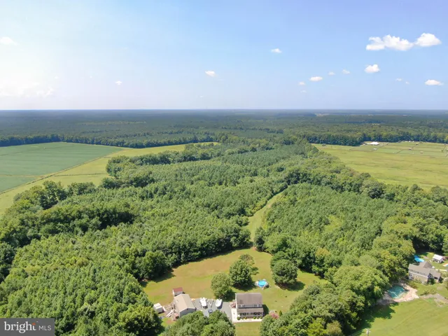 a view of a field with an ocean