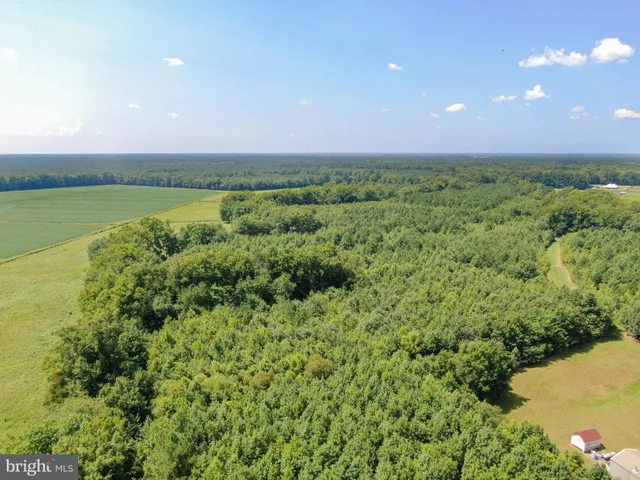 a view of a city with lush green forest