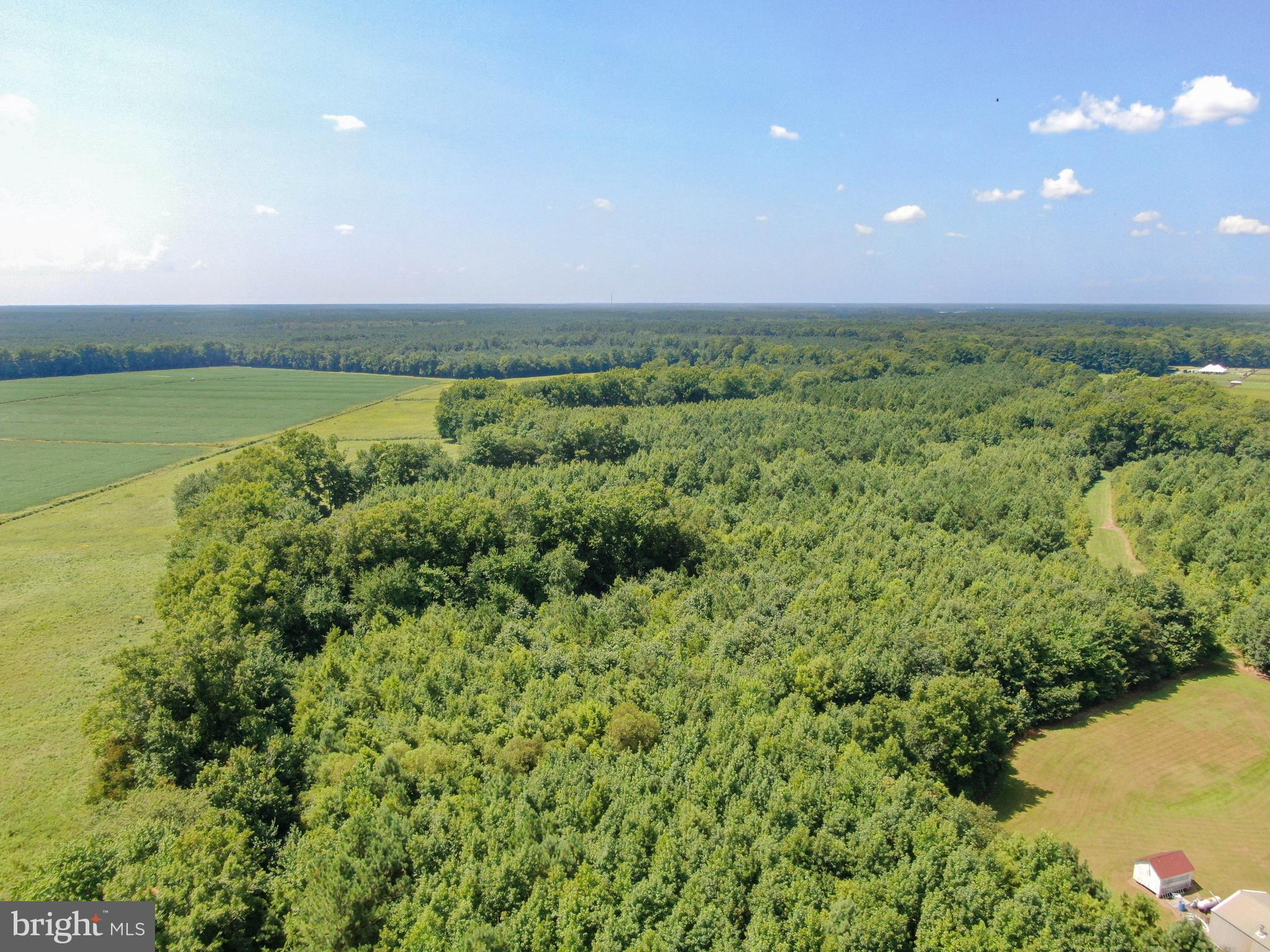 0 Cedartown Road Snow Hill, MD 21863 - Photo 9 of 14 a view of a city with lush green forest