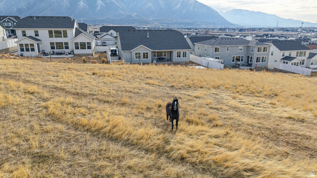 872 West Union Bench Drive Mapleton, UT 84664 - Photo 4 of 46