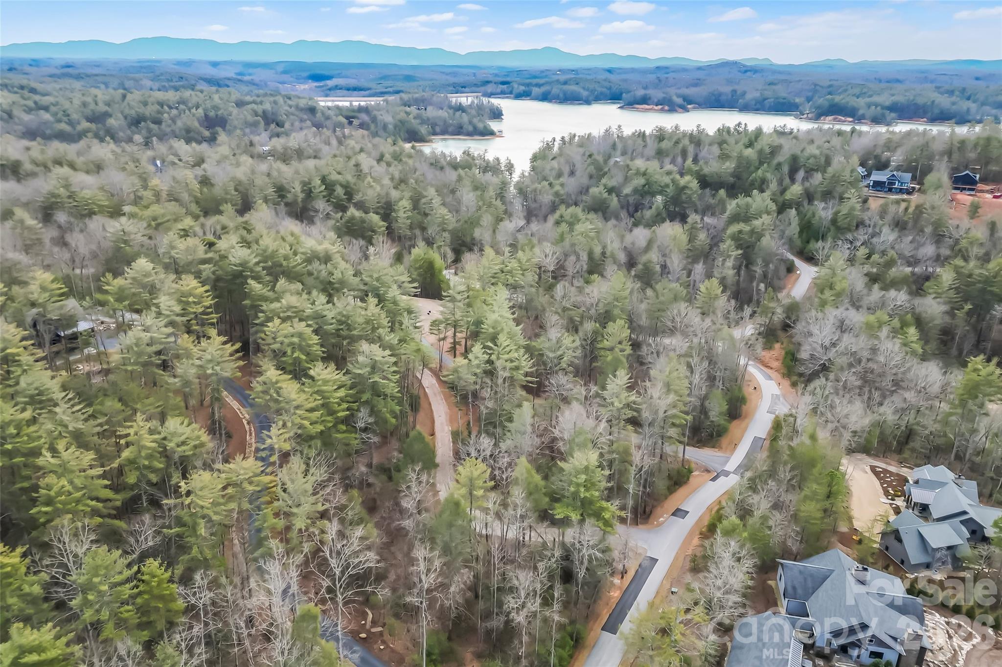 2086 October Drive, Unit 147 Nebo, NC 28761 - Photo 11 of 29 a view of a forest with a forest